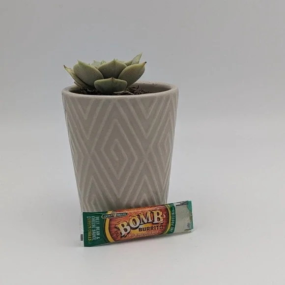 Zuru Mini Brands The Bomb Burrito Toy - Picture 1 of 3